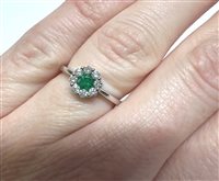 Ringe Giorgio Visconti Dame SMERALDI in Weißgold Smeraldo 0.25 Ct ABX15038S 74089808 - ABX15038S 74089808